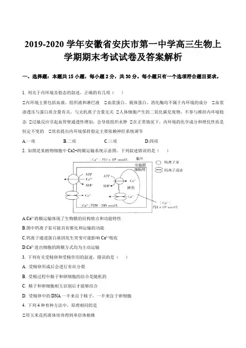 2019-2020学年安徽省安庆市第一中学高三生物上学期期末考试试卷及答案解析