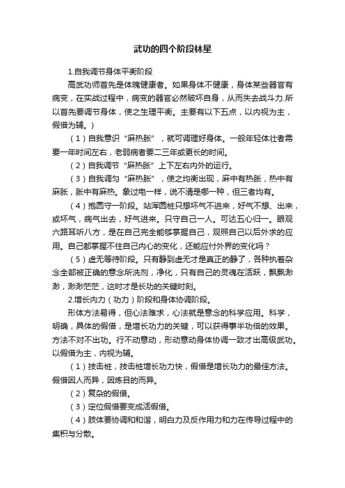 武功的四个阶段林星