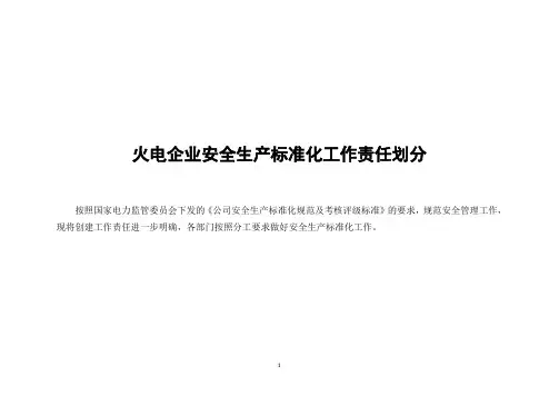 火电企业安全生产标准化工作方案(详细)