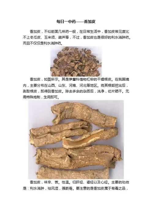 每日一中药——香加皮