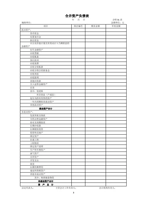 新版财务报表-Word模版(合并)