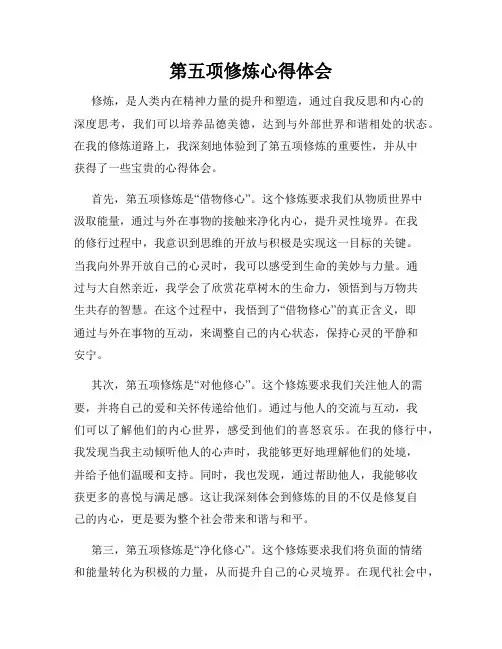 第五项修炼心得体会