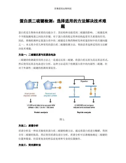 蛋白质二硫键检测：选择适用的方法解决技术难题