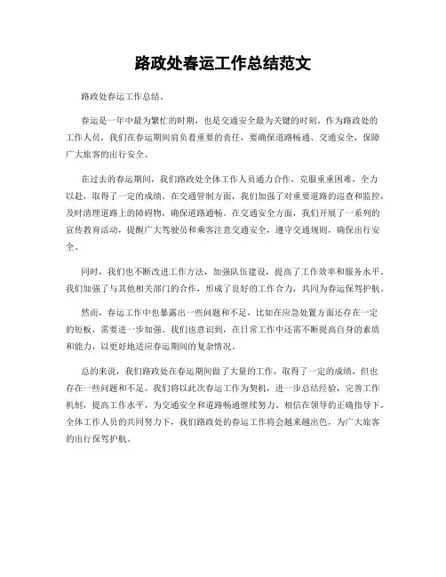 路政处春运工作总结范文