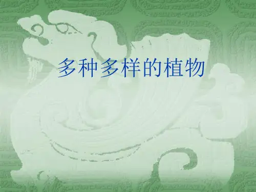 教育科学出版社小学科学六年级上册 多种多样的植物 名师教学PPT课件(1)(1)