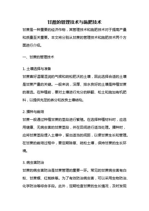 甘蔗的管理技术与施肥技术