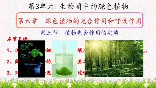 植物光合作用的实质(第二课时)七年级生物上册