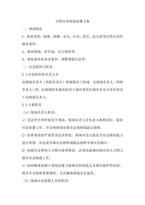 自然灾害现场处置方案