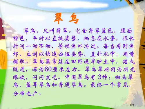 北师大版三年级语文上册ppt课件翠鸟市公开课一等奖省优质课获奖课件