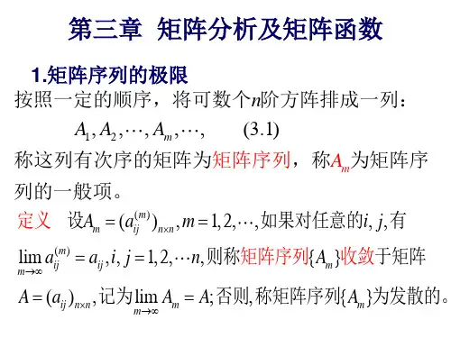 矩阵分析及矩阵函数