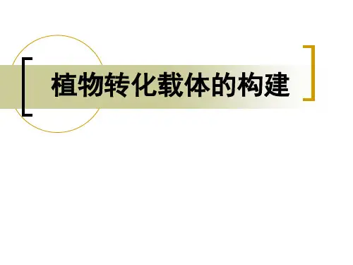 第六章_植物转化载体的构建