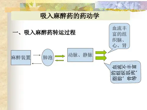 吸入麻醉药-药效和药动