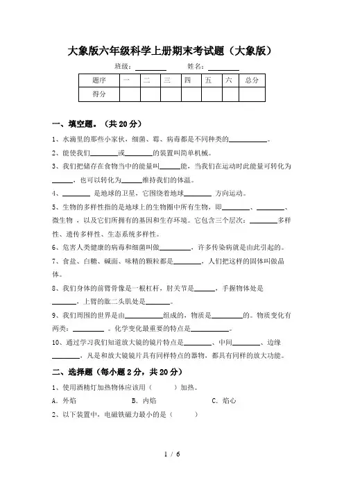 大象版六年级科学上册期末考试题(大象版)