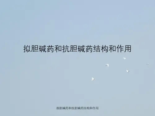 拟胆碱药与抗胆碱药结构与作用