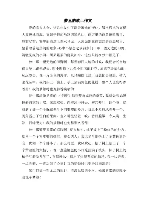 梦里的故乡作文范文