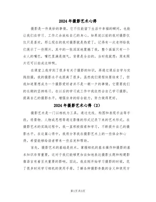 2024年摄影艺术心得(2篇)