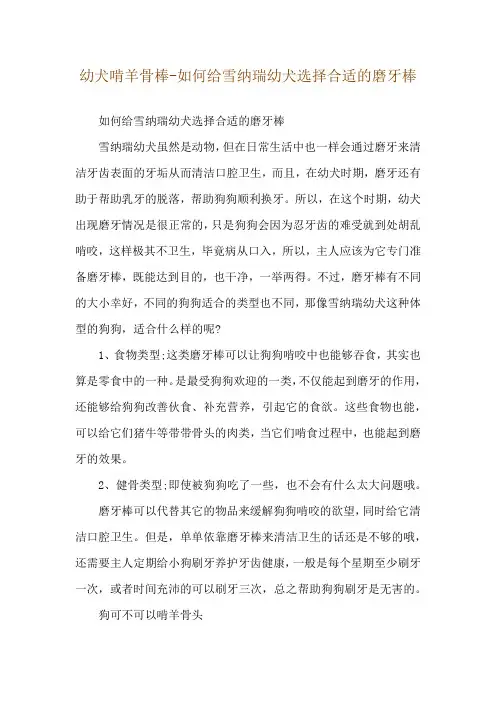幼犬啃羊骨棒-如何给雪纳瑞幼犬选择合适的磨牙棒