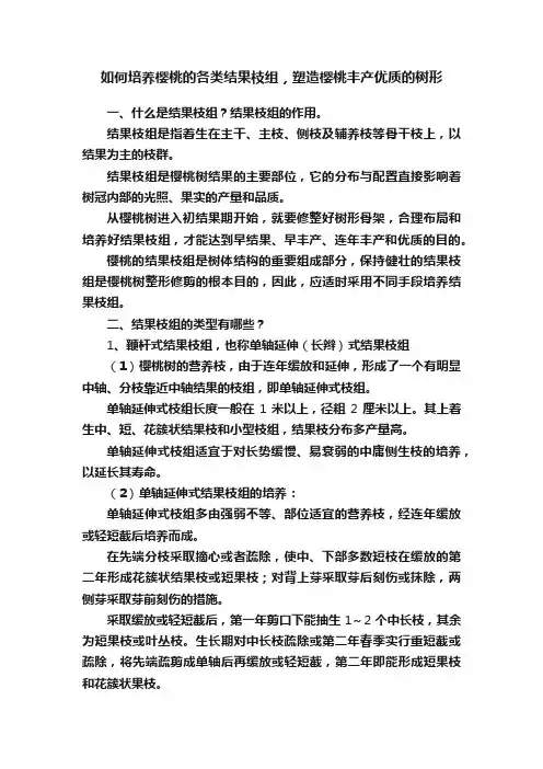 如何培养樱桃的各类结果枝组，塑造樱桃丰产优质的树形