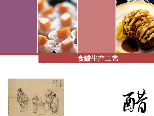 发酵食品生产技术：食醋生产工艺
