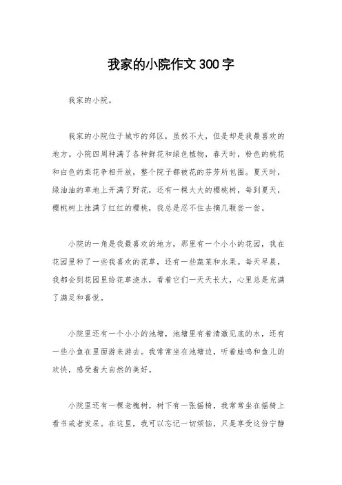 我家的小院作文300字