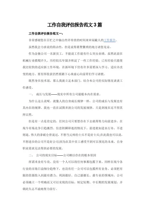 工作自我评估报告范文3篇