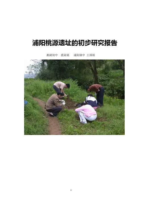 关于浦阳桃源遗址的研究报告1