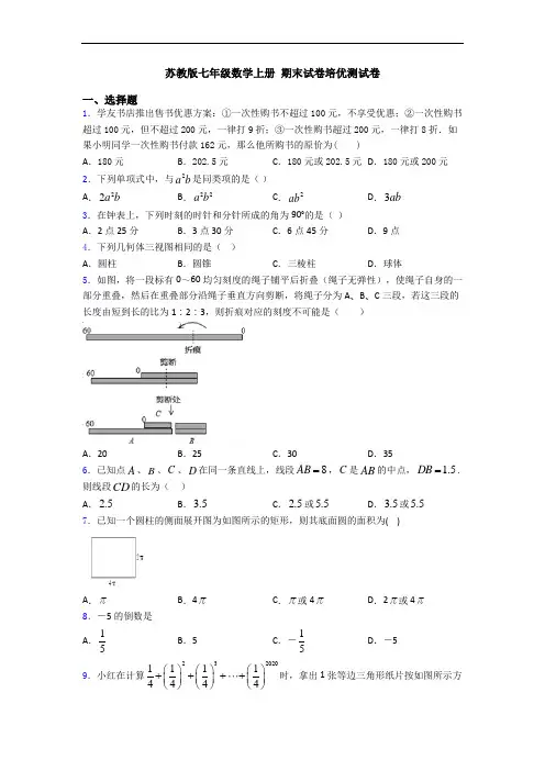 苏教版七年级数学上册 期末试卷培优测试卷