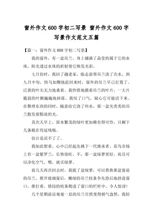 窗外作文600字初二写景 窗外作文600字写景作文范文五篇