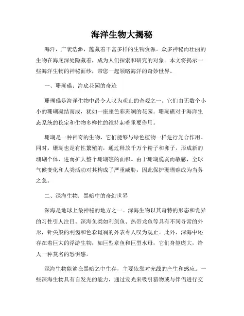 海洋生物大揭秘