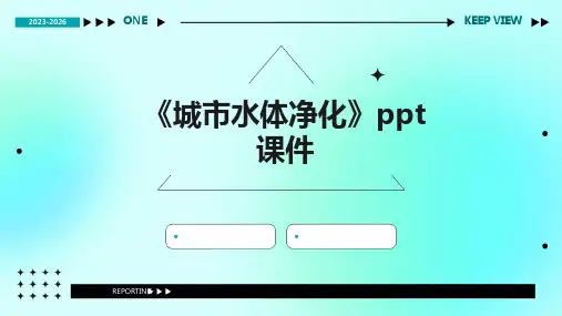 《城市水体净化》课件