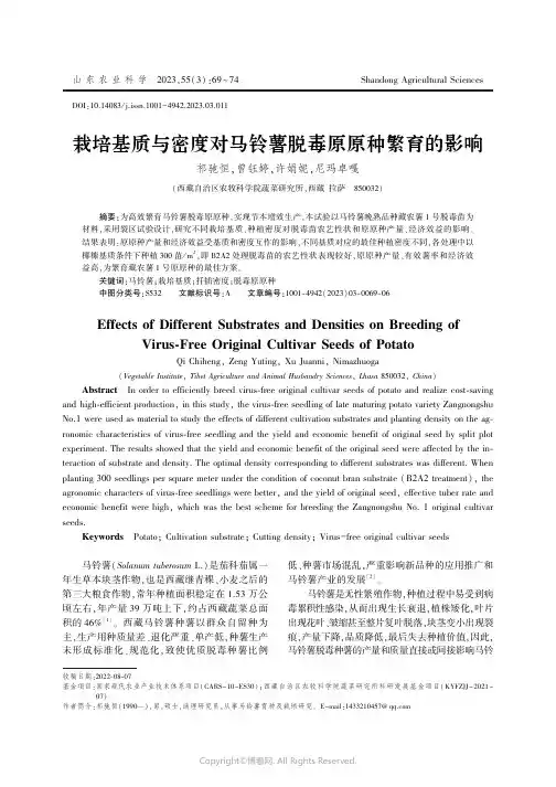 栽培基质与密度对马铃薯脱毒原原种繁育的影响