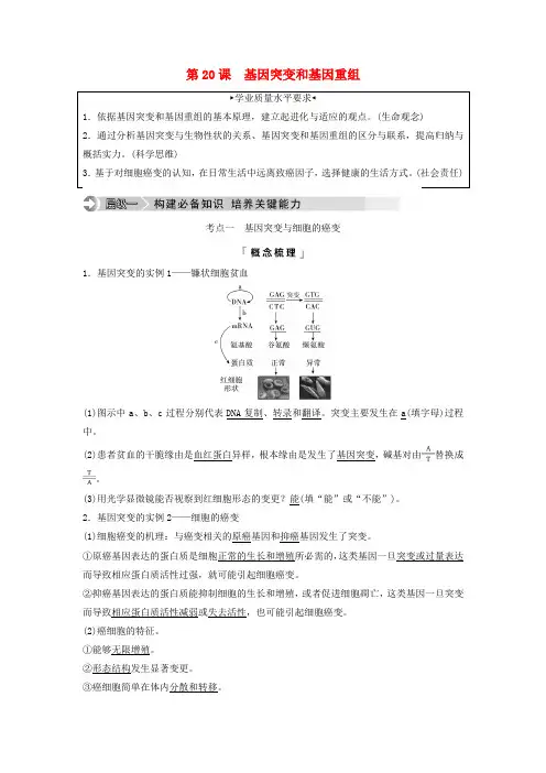 2025版高考生物一轮总复习第7单元生物的变异育种与进化第20课基因突变和基因重组教师用书