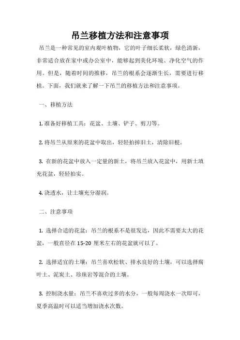 吊兰移植方法和注意事项