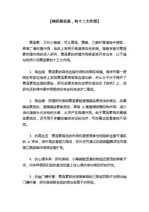 【神药黄连素，有十三大作用】