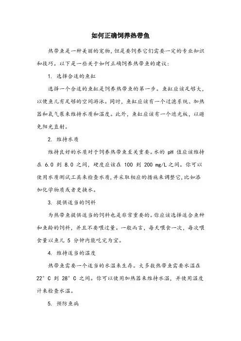 热带鱼的最正确饲养方法