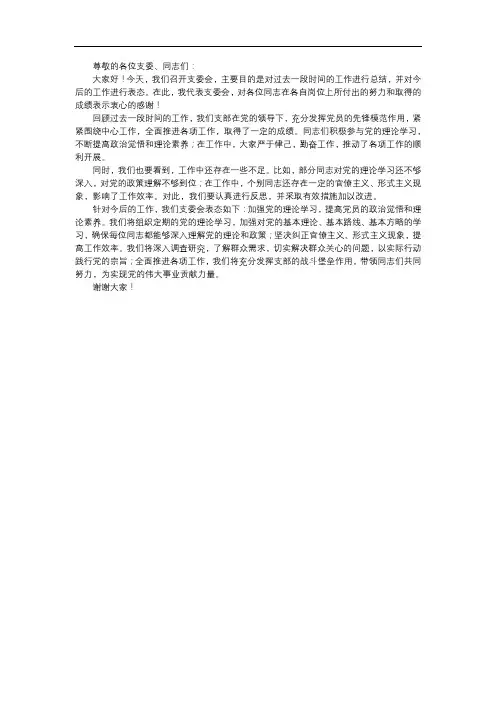 支委会作总结表态发言