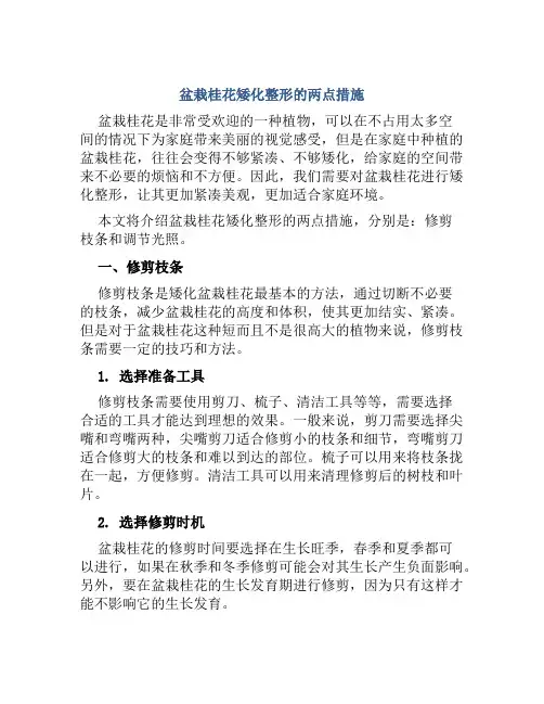 盆栽桂花矮化整形的两点措施