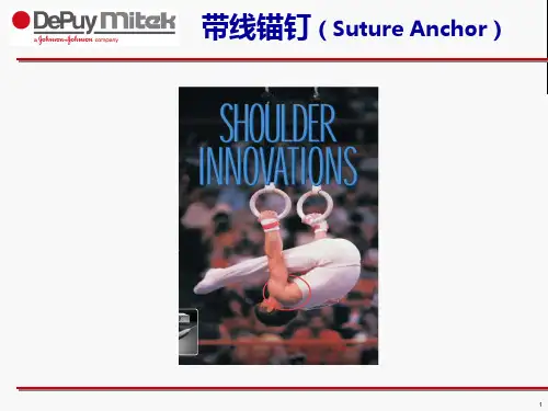 强生带线锚钉 PPT课件