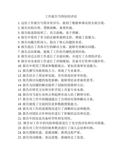 工作报告写得好的评语