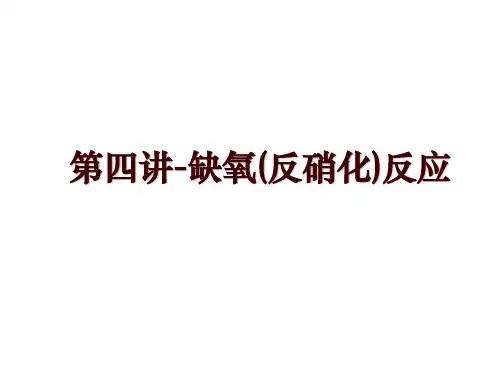 第四讲-缺氧(反硝化)反应