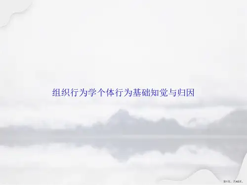 组织行为学个体行为基础知觉与归因讲课文档