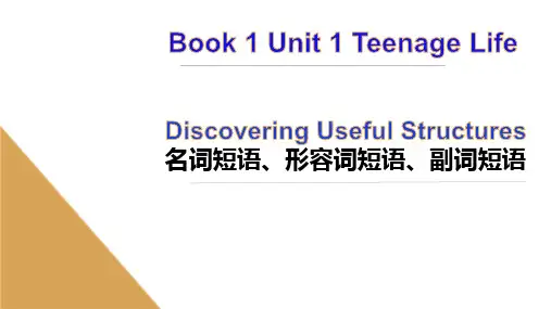 新人教高中英语 Unit1 语法-名词短语,形容词短语,副词短语