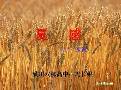 《夏感》PPT