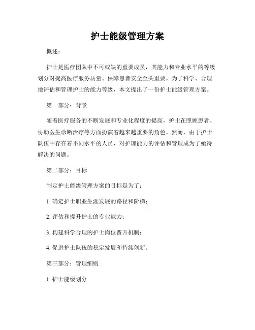 护士能级管理方案
