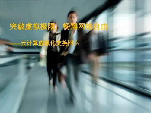 虚拟化交换网络