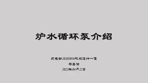 炉水循环泵介绍