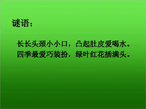二年级下册美术课件4.13大花瓶丨岭南版共21张PPT1