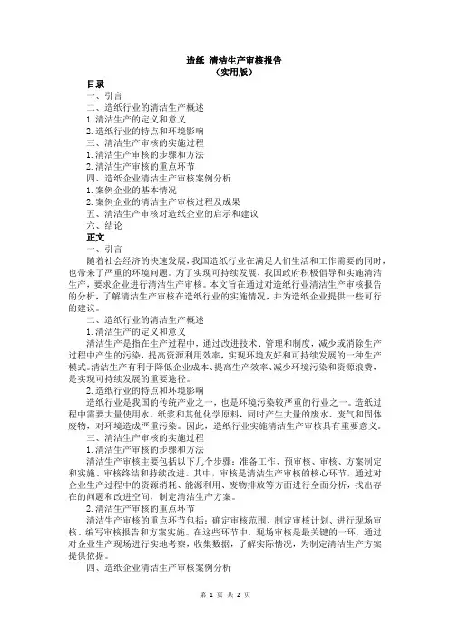 造纸 清洁生产审核报告