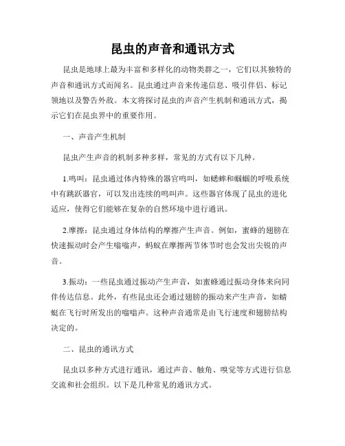 昆虫的声音和通讯方式