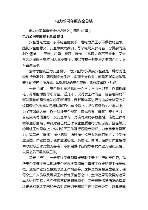 电力公司年度安全总结范文（通用12篇）